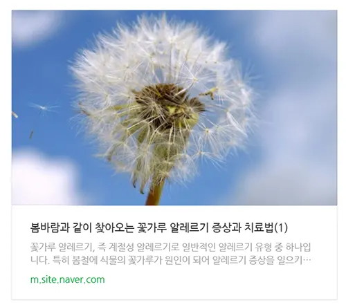 꽃가루알레르기글